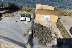 Bekijk deze afbeelding van Milieukundig bodemonderzoek op Geoviz B.V 